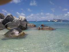 BVI2019