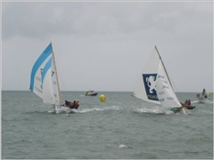 Lutte lion et port autonome